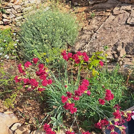 Smjestaj Latica Pensión Vela Luka