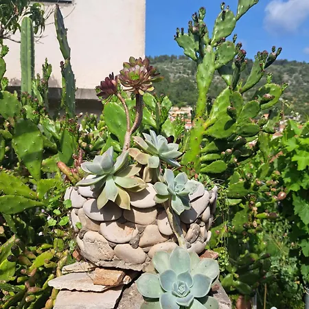 Pensión Smjestaj Latica